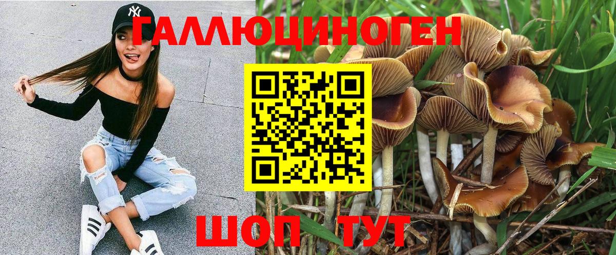 Галлюциногенные грибы MAGIC MUSHROOMS Рузаевка